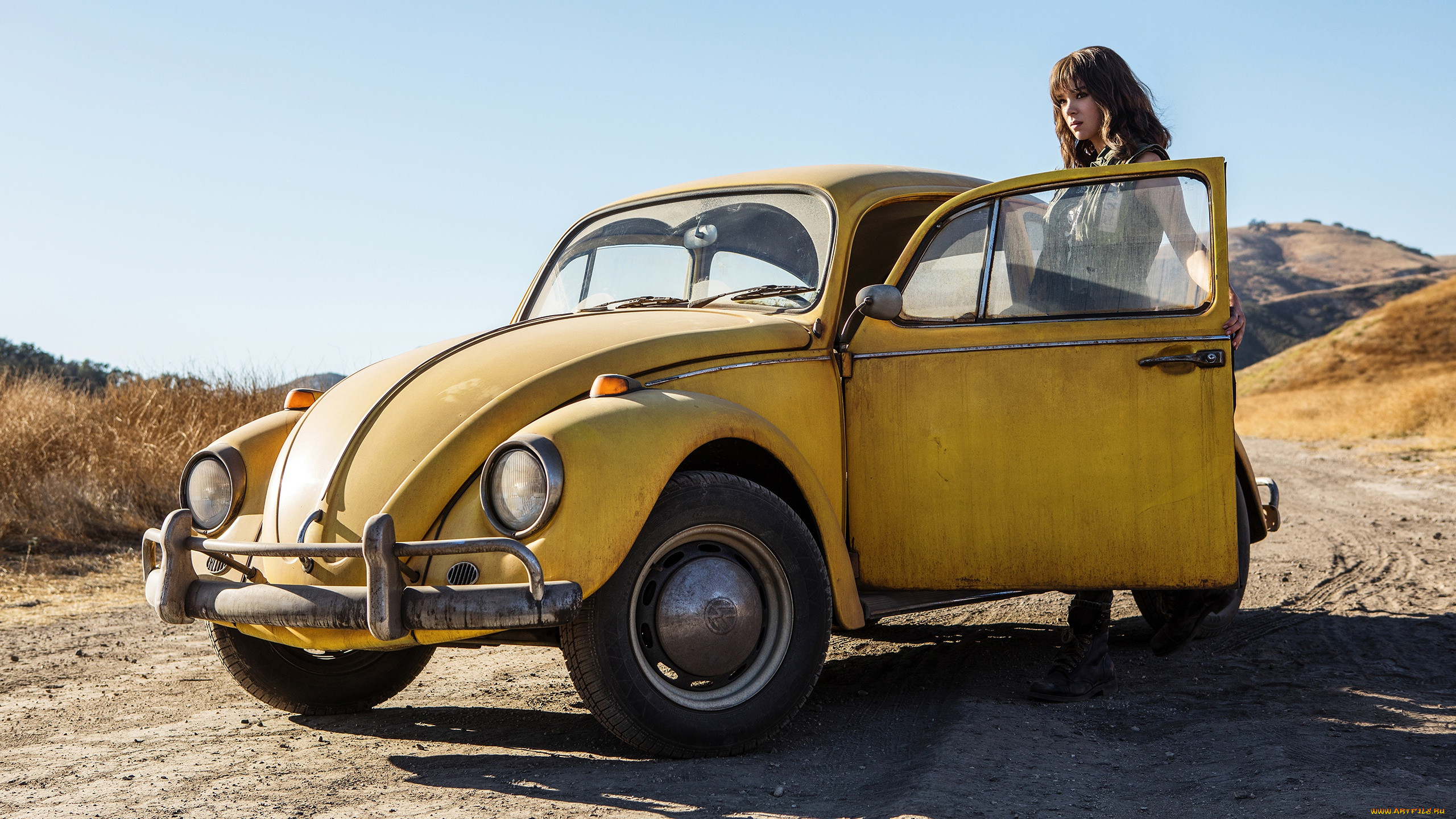  , bumblebee, , , , , , hailee, steinfeld, , , , , , 